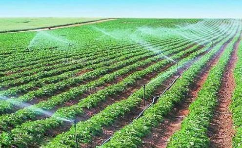 国内操老女人自拍农田高 效节水灌溉